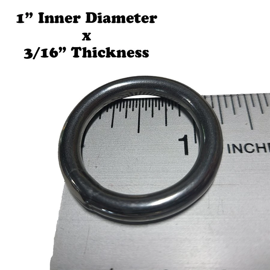 Stainless Steel Ring - Large 1" Ring 2 Stainless Steel Ring - Large 1" Ring - Image 2